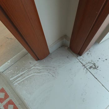 Fiber Kurulumunda Duvar Hasarı Ve Çözüm Talebi