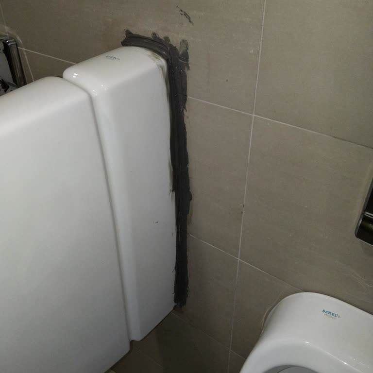 Adana Şehir Hastanesi Nükleer Tıp Bölümündeki Lavabo Ve Pisuvar Sorunu: Acil Onarım Talebi