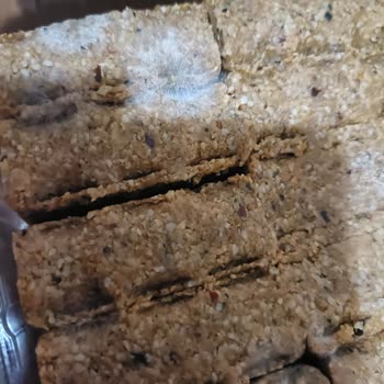 BİM Antakya Şubesinde Küflü Çiğ Köfte Satışı: Sağlık Riski Ve Denetim Sorunu