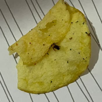 Lay’s Cips Paketi İçinde Böcek Tespiti Ve Hijyen Endişesi