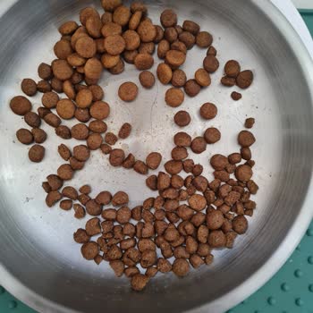 Royal Canin Ürün Farklılığı Ve Şikayetimin Görmezden Gelinmesi