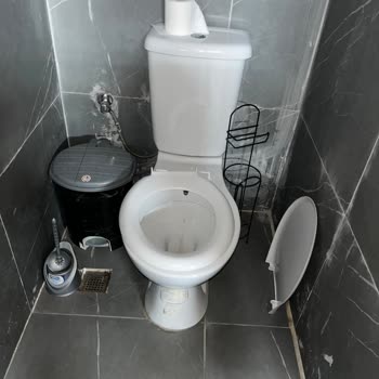 Gym Fox Bakımsız Salon