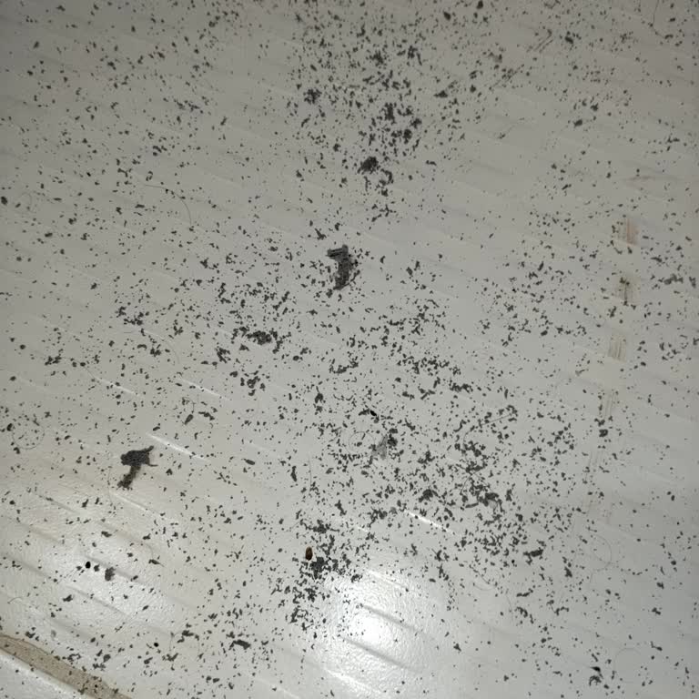 Garanti Süresi Dolmadan Çamaşır Makinesi Körük Lastiği Parçalandı, Ücretsiz Onarım Talebi