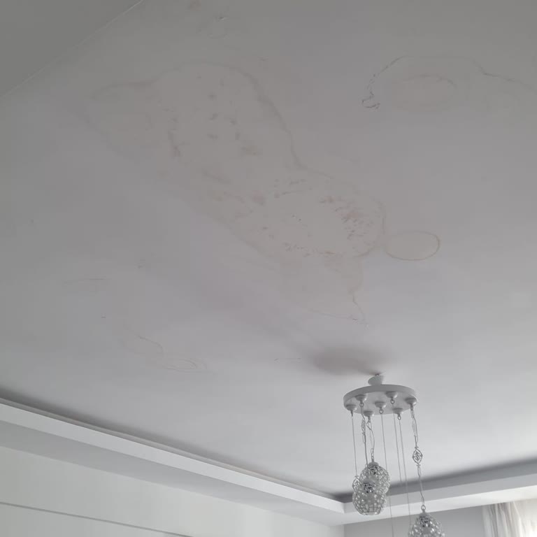 Gaziantep Şahinbey Karataş Şubesinde Eminevim'den Hasar İşlemlerine Cevap Gelmemesi