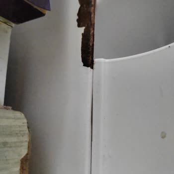 Vestel Bulaşık Makinesinde Paslanma Ve Müşteri Hizmetlerinden Yanıt Yok