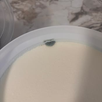 Erken Küflenmiş Doğal Yoğurt İçin Sağlık Endişesi Ve İade Talebi