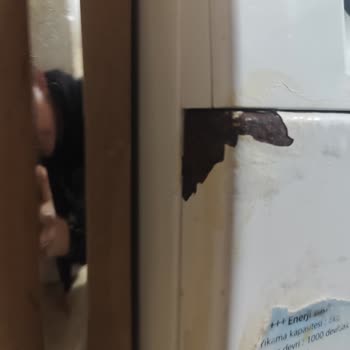 Bosch Çamaşır Makinesinde Alışılmadık Pas Sorunu