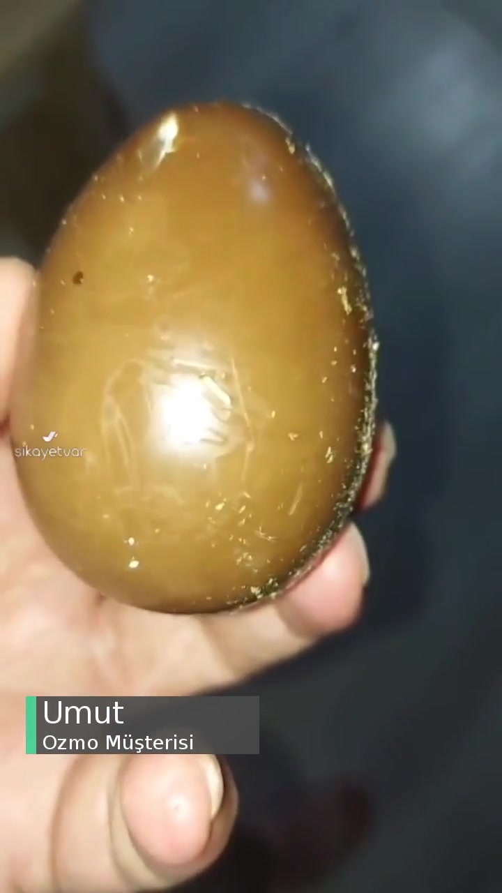 Ozmo Yumurtadan Kurt Çıktı videonun kapak resmi