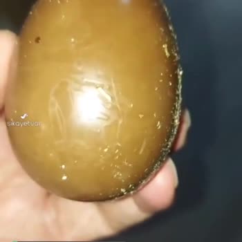 Ozmo Yumurtadan Kurt Çıktı