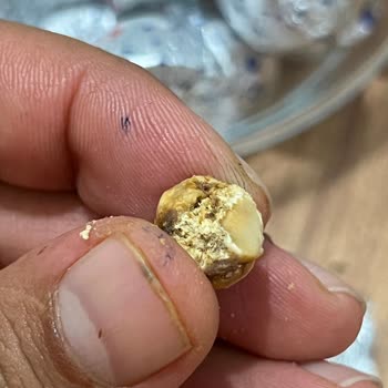 Ülker Ece Çikolatasında Küflü Fındık Ve Kalite Kontrol İhmaline Şikayet