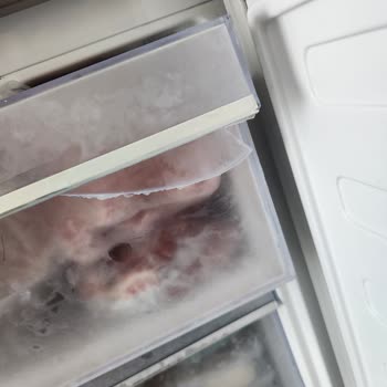 Beko Buzdolabının Derin Dondurucu Rafı Kırıldı, Garanti Kapsamında Değişim Talebi