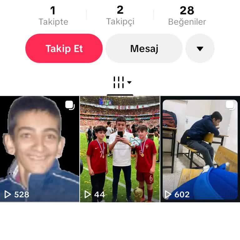 İzinsiz Fotoğraf Ve Video Paylaşımı Nedeniyle TikTok Hesabının Kapatılması Talebi
