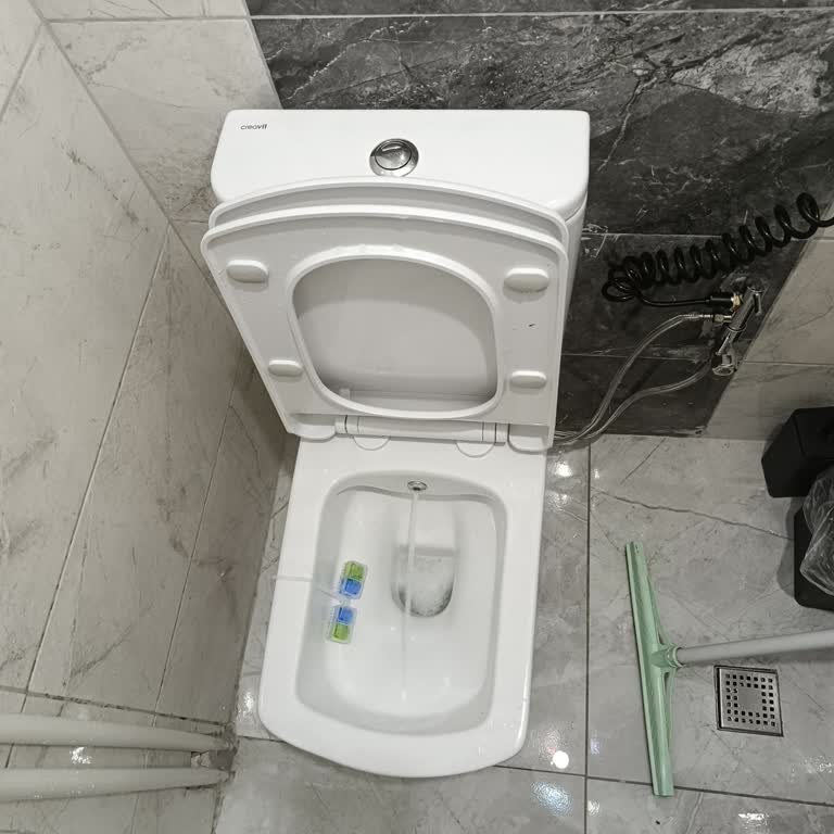 Klozette Su Sızması Ve Hijyen Endişesi