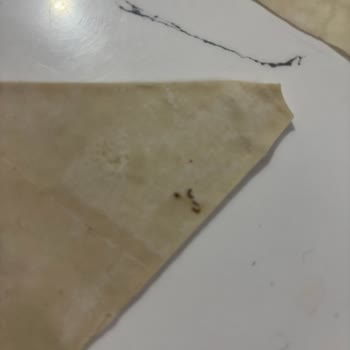 Nimet Yufkasında Böcekler Ve Yapışık Yufkalar: Sağlık Riski Ve İade Talebi