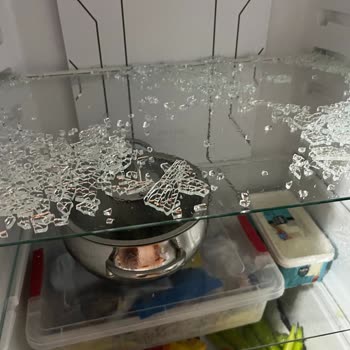 Hoover Buzdolabının Cam Rafı Ani Patladı, Kullanıcı Güvenliğini Tehlikeye Attı