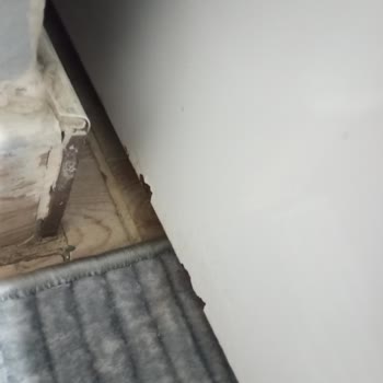 Yeni Samsung Buzdolabımda Hızlı Paslanma Ve Desteksiz Müşteri Hizmetleri