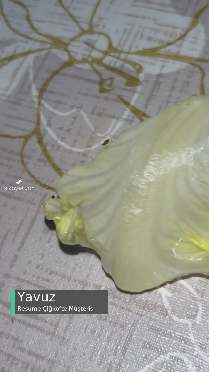 Resume Çiğköftede Böcek! videonun kapak resmi