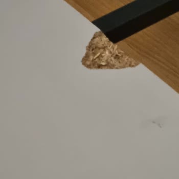 Kelebek Mobilya Aydın Mağazasına 5 Aylık Teslimat Gecikmesi Ve Yanıltıcı Ürünler