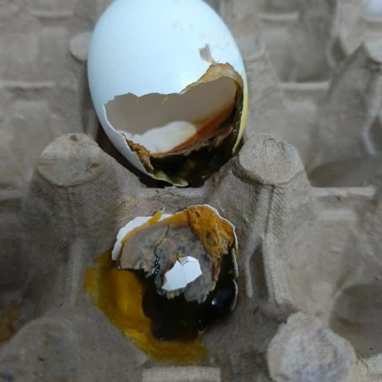 Keskinoğlu Yumurtasında Bozulmuş Koku Ve Yanıltıcı Son Tüketim Tarihi