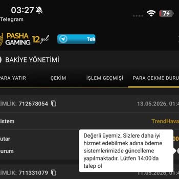Pashagaming Şifrem Değiştirildi, 85.000 TL Bakiyem Tek Gecede Silindi