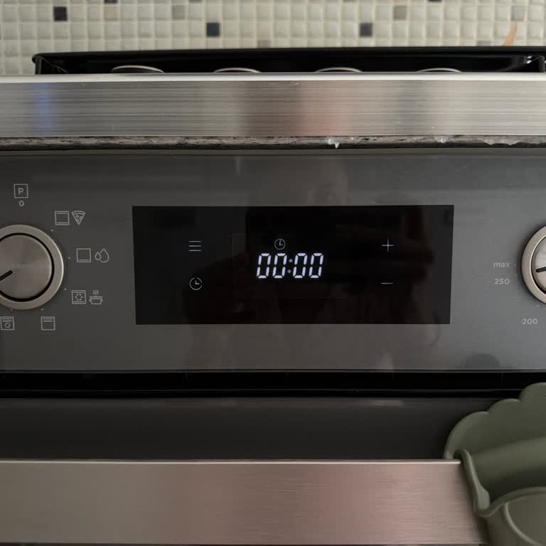 Silverline Ankastre Fırının Alarm Çıkması Ve Randevu Sorunu