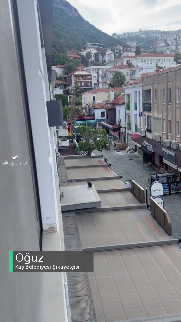 Kaş Belediyesi'nin İnsanlık Dışı Rahatsızlığı videonun kapak resmi