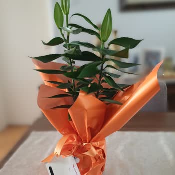 Anneler Günü Çiçek Siparişinde Gecikme, Yanlış Ürün Ve Çikolata Eksikliği