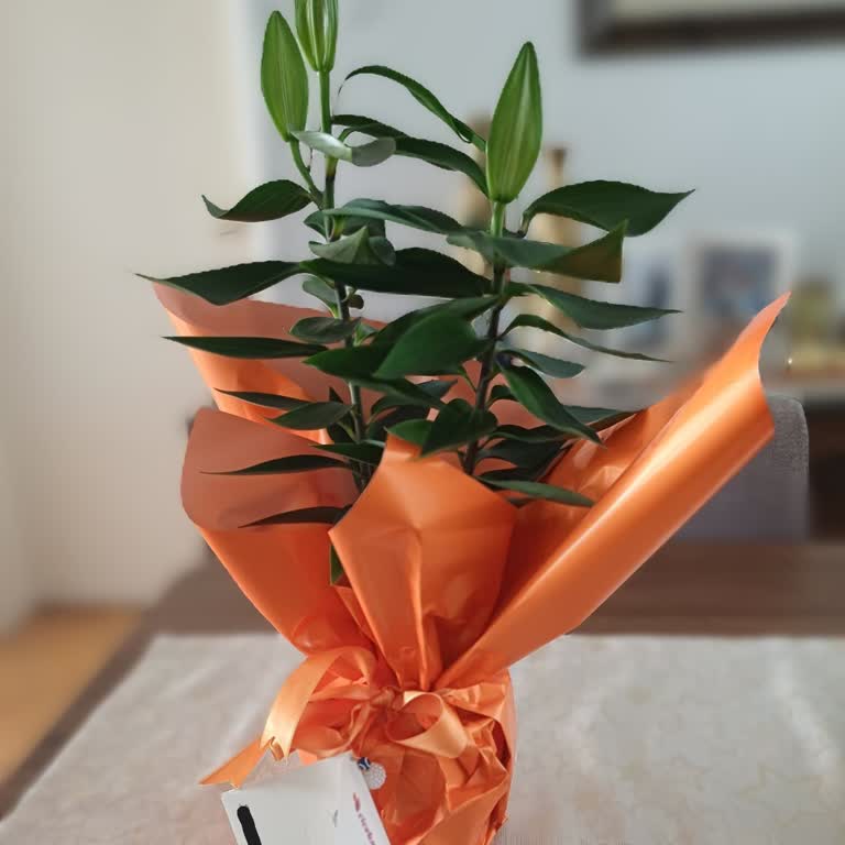 Anneler Günü Çiçek Siparişinde Gecikme, Yanlış Ürün Ve Çikolata Eksikliği