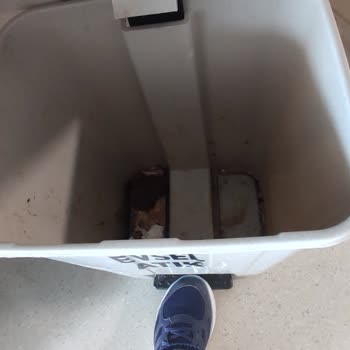 Etlik Şehir Hastanesi Ortopedi Bölümünde Temizlenmemiş Oda Şikayeti