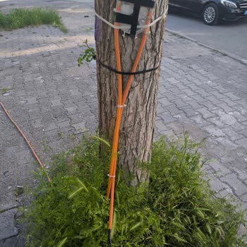 Vodafone Fiber İnternet Kesintisi Ve Güvensiz Kablo 10 Gün Süren Öğrenci Mağduriyeti