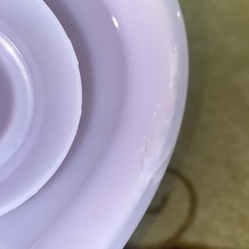 Weewell Buhar Makinesi Haznesi Kendi Kendine Çatladı Ve Servis Ücretsiz Onarım Reddetti