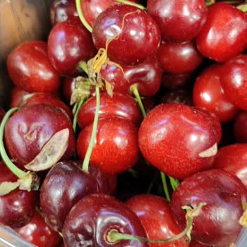 Çekmeköy Çağrı Market’te Çürük Karpuz Ve Kirazlar, Azarlayan Çalışan