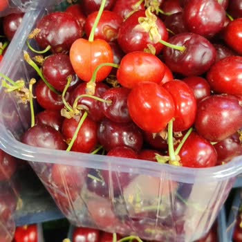 Çekmeköy Çağrı Market’te Çürük Karpuz Ve Kirazlar, Azarlayan Çalışan