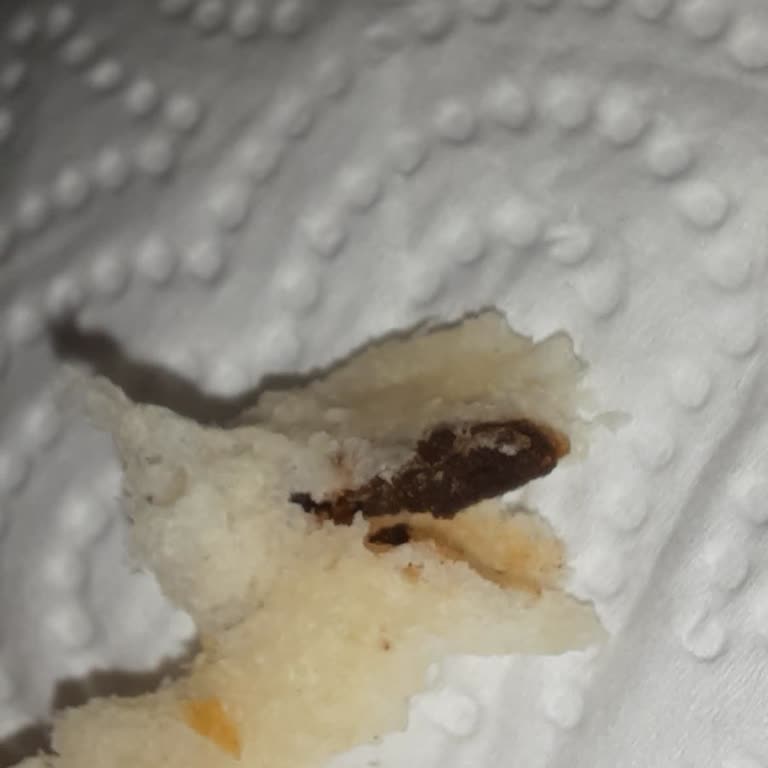 Etlik Fırını'nda Ekmekte Fare Dışı Madde Ve Böcek Tespiti