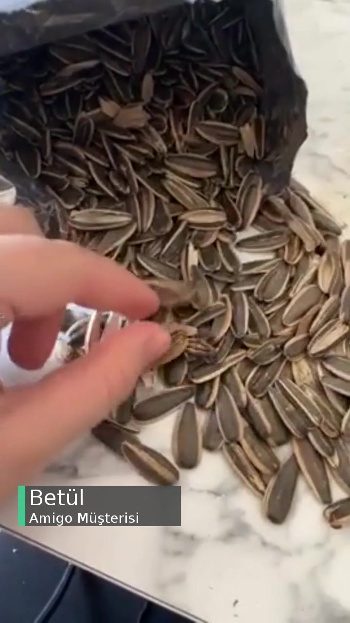 Amigo İçi Boş Çekirdek videonun kapak resmi