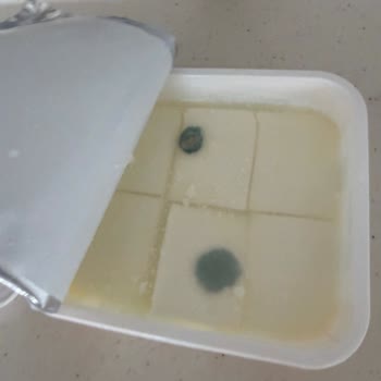 Sağlık Riski Taşıyan Son Kullanma Tarihi Geçmemiş Küflü Yörsan Süzme Peynir İçin İade Talebi