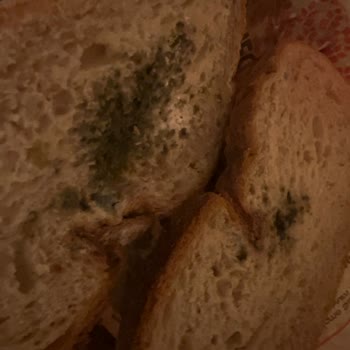 Üsküdar Şok Market’te Ekşi Mayalı Ekmekte Erken Küflenme Ve Denetim Eksikliği