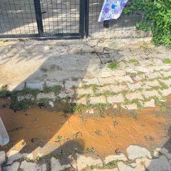 Havuz İnşaatı Nedeniyle Mahallede Çamur Ve Su Birikintileri Sorunu
