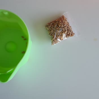 Miyavita'nın Yanıltıcı Reklamı, Aldığım Kedi Çimi Hediye Paketi Küçük