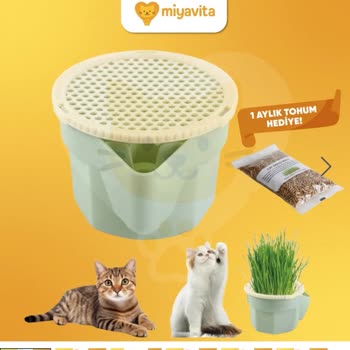 Miyavita'nın Yanıltıcı Reklamı, Aldığım Kedi Çimi Hediye Paketi Küçük