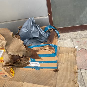 DHL Şubesinde Kırık Kargo Tutanak Gösterilmemesi Ve Saygısız Personel
