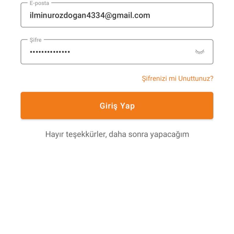 Hesabım Giriş Yapmıyor Ve Şifre Sıfırlama Maili Gelmiyor