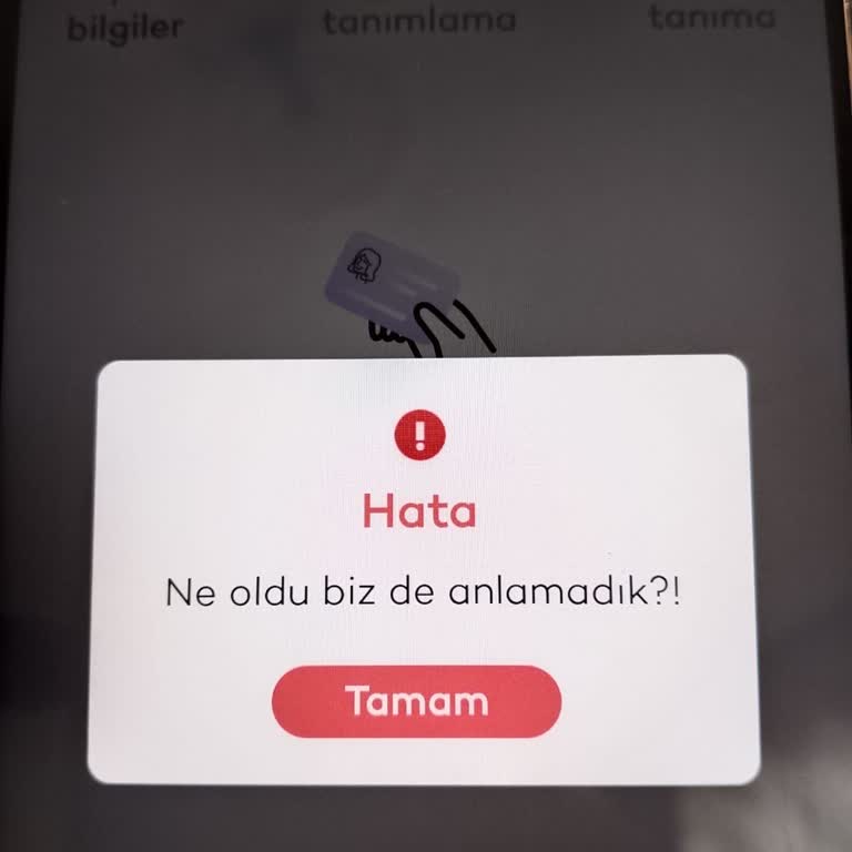 Tosla Uygulamasında Kimlik Doğrulama Hatası Nedeniyle 445 TL’ye Erişilemiyor