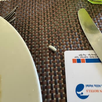 Stayforlong İletişimsizliği Ve Ek Ücret Talebi Sonrası Hijyen Sorunu