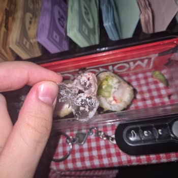 Sushi Ürününün İçinde Poşet Parçası Çıkması Ve Sağlık Endişesi