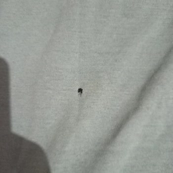 Yanlış Ve Defolu T-Shirt İçin Tam İade Talebi