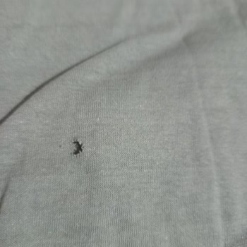 Yanlış Ve Defolu T-Shirt Gönderimi İçin Tam İade Talebi