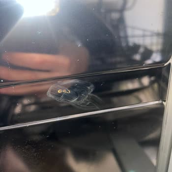 Bosch Bulaşık Makinesinde İç Korozyon Ve Kurutma Sorunu