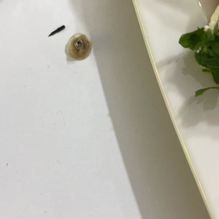 Yaprak Sarmasında Küpe Arkası Bulunması Gıda Güvenliği İhlali