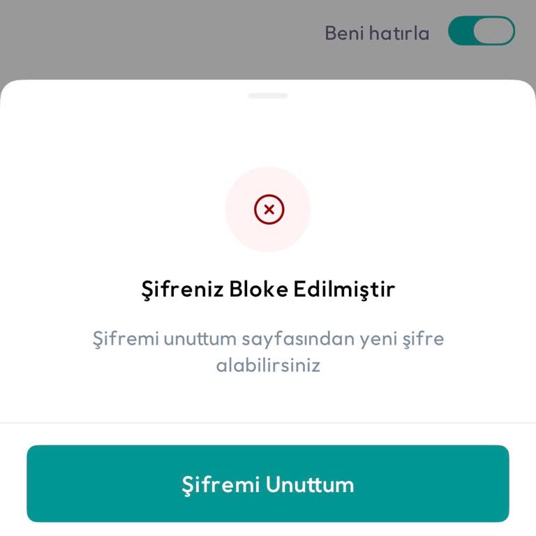 Şifre Blokesi Nedeniyle Hesaba Erişim Sağlanamıyor Ve Acil Müşteri Desteği Talebi
